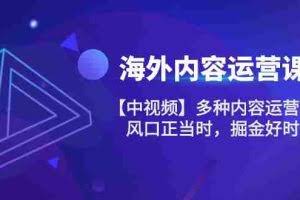 (10833期)海外内容 运营课【中视频】多种内容运营玩法 风口正当时 掘金好时机-101节