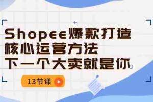 (10777期)Shopee-爆款打造核心运营方法,下一个大卖就是你(13节课)