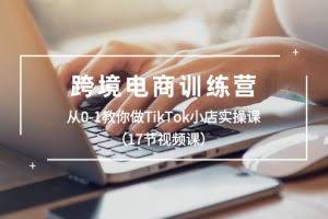 (10946期)跨境电商训练营:从0-1教你做TikTok小店实操课(17节视频课)