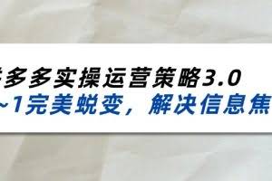 (11658期)2024_2025拼多多实操运营策略3.0,0~1完美蜕变,解决信息焦虑(38节)