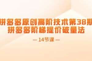 (11704期)拼多多原创高阶技术第38期,拼多多阶梯提价破量法(14节课)