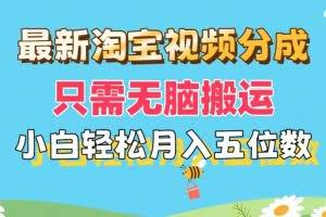 (11744期)最新淘宝视频分成,只需无脑搬运,小白也能轻松月入五位数,可矩阵批量…