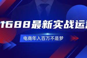 (11857期)1688最新实战运营 0基础学会1688实战运营,电商年入百万不是梦-131节