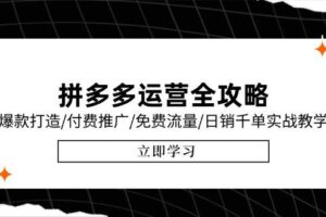 （15085期）拼多多运营全攻略，爆款打造/付费推广/免费流量/日销千单实战教学/6月更新