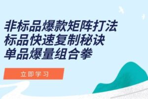 （15068期）非标品爆款矩阵打法，标品快速复制秘诀，单品爆量组合拳