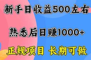 （16132期）新手日收益500+ 正规项目 长期可做