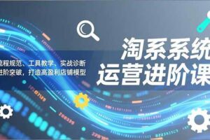 （16927期）淘系系统运营进阶课2.0，流程规范、工具教学、实战诊断，进阶突破，打造高盈利店铺模型