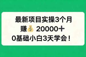（17856期）最新项目实操3个月，赚钱20000+，0基础小白3天学会！