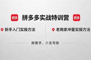 (18468期)拼多多实战特训营(更新5月15):不管是新手入门或老商家冲量,都有实操方法,跟着学,少走弯路